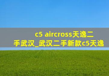 c5 aircross天逸二手武汉_武汉二手新款c5天逸